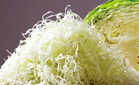 ひでかつの「キャベツ」のこだわり ひでかつの「キャベツ」のこだわり
